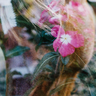 Multiple exposure film photography art print of a chestnut pony and pink flowers by Sara Ceraldi - horse eye and flower detail