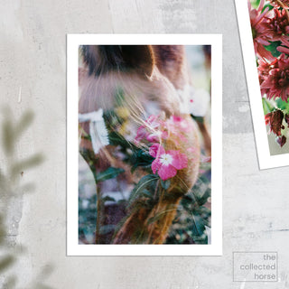 Multiple exposure film photography art print of a chestnut pony and pink flowers by Sara Ceraldi - paper print mockup