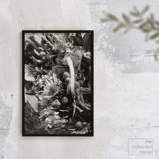 multiple exposure film photo of a horse with flowers in black and white by sara ceraldi - wall art mockup
