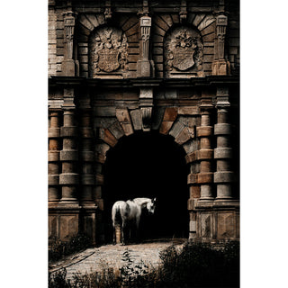 Fine art photography print of a grey horse in front of a medieval castle by Anna Archinger