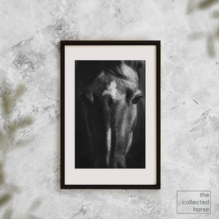 Black and white portrait of a horse by Anna Archinger - wall art mockup