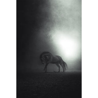 Dramatic fine art photography print of a horse galloping through darkness by Anna Archinger