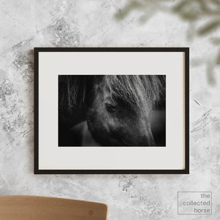 Black and white photo of an Icelandic horse with his eyes closed by Anna Archinger - matted art print mockup