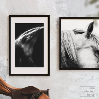 Dramatic photo of a gray horse in motion against a black background by Anna Archinger - wall art print mockup