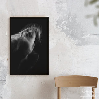 Fine art photography print of a gray horse in motion against a black background by Anna Archinger - wall art print mockup