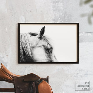 Black and white photo of a horse with a scarred face by Anna Archinger - wall art print mockup with saddle
