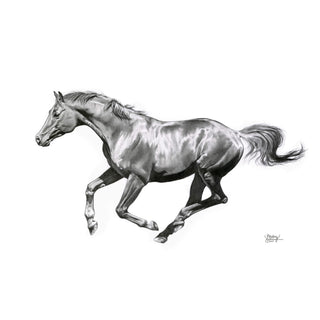 Original charcoal drawing of a galloping horse by equine artist Hailey Sullivan