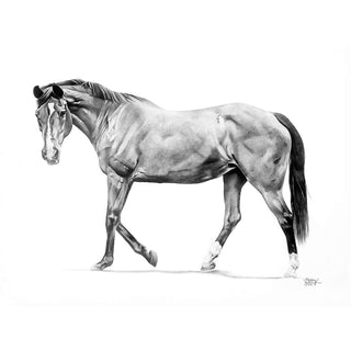 Minimalist horse art portrait "KC" by Hailey Sullivan