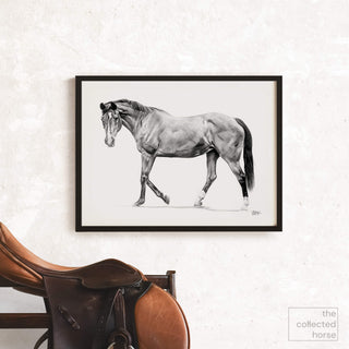 Minimalist horse art portrait "KC" by Hailey Sullivan - Framed print mockup