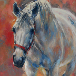 Abstract portrait of a gray horse wearing a red halter walking forward against a scarlet and blue painterly background, by equestrian artist Jennifer Pratt - horse head detail