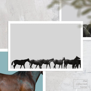 Minimalist equestrian photography art print of Thoroughbred racehorses in Saratoga by Kate Stephenson - paper giclée mockup