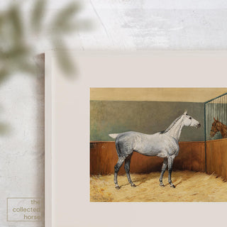 Vintage equestrian art print of a dappled gray horse in a white frame.