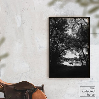 Black and white fine art photography print of a horse in Mallorca walking beneath trees by a river by Carolin Felgner - framed wall art mockup