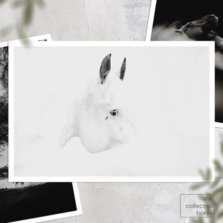 Minimalist equine photography art print of a white horse by Carolin Felgner - paper giclée mockup