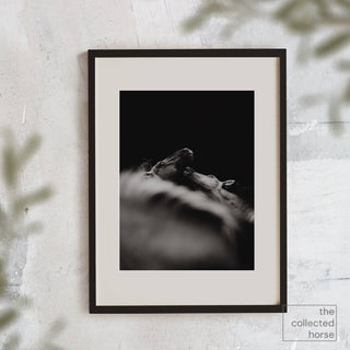 Black and white equestrian fine art print of two horses playing by Carolin Felgner - framed wall art mockup