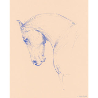 original equestrian line art sketch of a horse with an arched neck by equine artist Danielle Demers