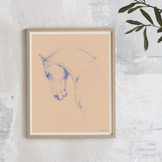 original equestrian line art sketch of a horse with an arched neck by equine artist Danielle Demers - framed print mockup 2