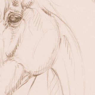 Minimalist equestrian sketch of a horse portrait by equine artist Danielle Demers - line detail