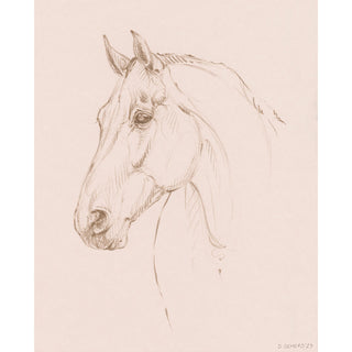 Minimalist equestrian sketch of a horse portrait by equine artist Danielle Demers