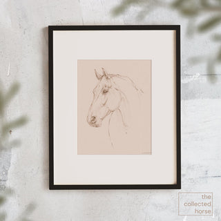 Minimalist equestrian sketch of a horse portrait by equine artist Danielle Demers - wall art print in black frame