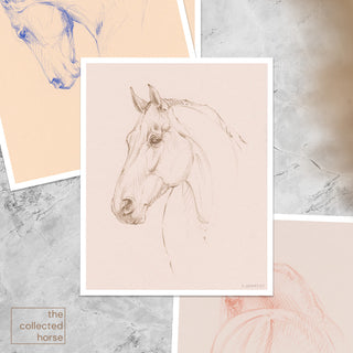 Minimalist equestrian sketch of a horse portrait by equine artist Danielle Demers - paper print mockup