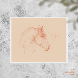 Soft warm equestrian art portrait drawing by Danielle Demers - paper print mockup