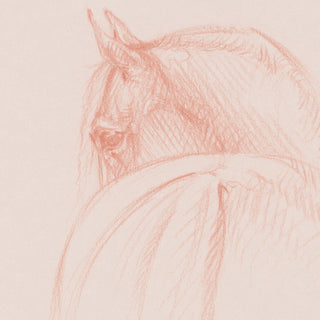 Soft warm minimalist equestrian art sketch of a horse by equine artist Danielle Demers - horse face detail