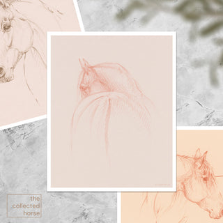 Soft warm minimalist equestrian art sketch of a horse by equine artist Danielle Demers - paper art print mockup