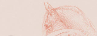Soft warm minimalist line art drawing of a horse by equine artist Danielle Demers