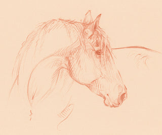 Soft warm feminine line art drawing of a horse with a long mane by equine artist Danielle Demers