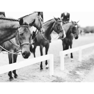 Black and white fine art photography print of hunters lined up outside the show ring by Morgan German