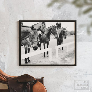 Black and white fine art photography print of hunters lined up outside the show ring by Morgan German - framed wall art mockup with saddle