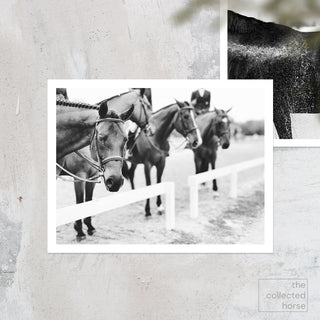 Black and white fine art photography print of hunters lined up outside the show ring by Morgan German - paper giclée mockup