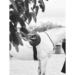 Black and white fine art equine photography print of a grey hunter in an Antares saddle by Morgan German