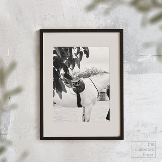 Black and white fine art equine photography print of a grey hunter in an Antares saddle by Morgan German - framed wall print mockup