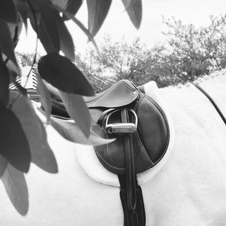 Black and white fine art equine photography print of a grey hunter in an Antares saddle by Morgan German - leather tack detail