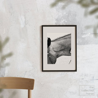 Detailed equine photography art print of a hunter with a braided mane by Morgan German - framed matted giclée mockup