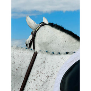 Fine art photography print of a gray horse against a blue sky by Morgan German