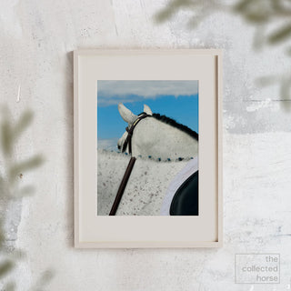 Fine art photography print of a gray horse against a blue sky by Morgan German - framed giclée mockup