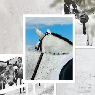 Fine art photography print of a gray horse against a blue sky by Morgan German - paper giclée mockup