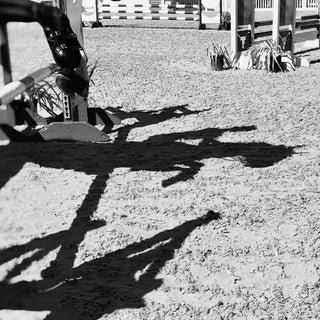 black and white photo of the shadow of a horse jumping over an oxer by Morgan German