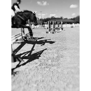 Black and white equine photography art print of a horse jumping over an oxer by Morgan German