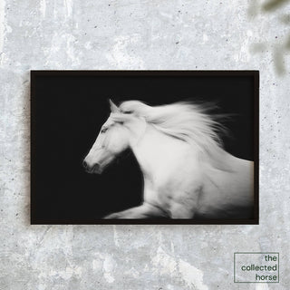 Fine art photography print of a white horse against a black background by Janine Ulbrich - horse art print mockup