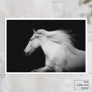 Fine art photography print of a white horse against a black background by Janine Ulbrich - paper print mockup