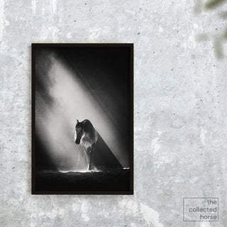 Black and white fine art equine photography by Janine Ulbrich - wall art print mockup