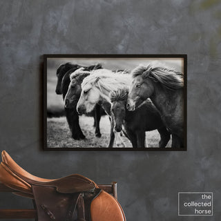Black and white fine art photography print of Icelandic horses by Janine Ulbrich - wall art print mockup