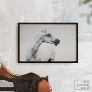 Black and white photo of a horse calling for his friend by Janine Ulbrich - art print wall mockup