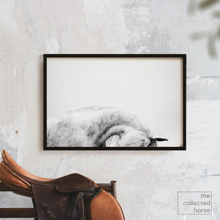 Black and white fine art photography of a gray horse's arched neck by Janine Ulbrich - wall art print mockup