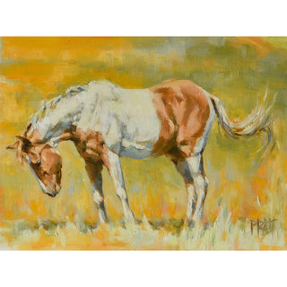 Colorful equine art print of a paint horse in a yellow field by Jennifer Pratt