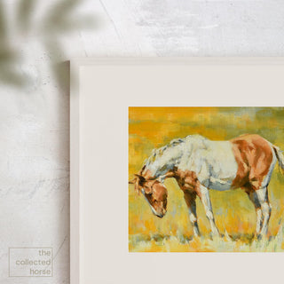 Colorful equine art print of a paint horse in a yellow field by Jennifer Pratt - framed matted horse art mockup